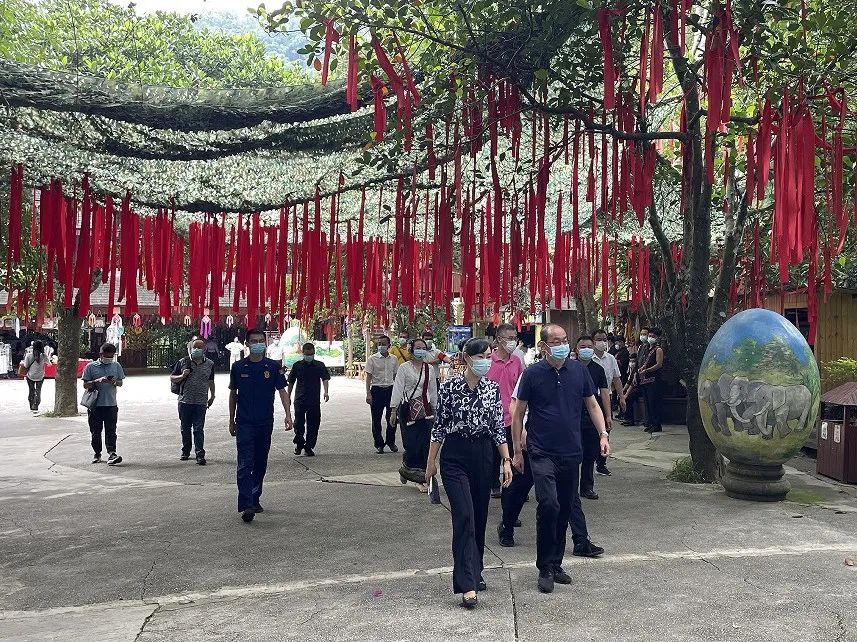 【安全環(huán)?！吭颇鲜“参瘯谑讲榻M到原始森林公園檢查指導(dǎo)-1.jpg
